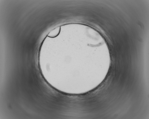 X0000111941512200909071249