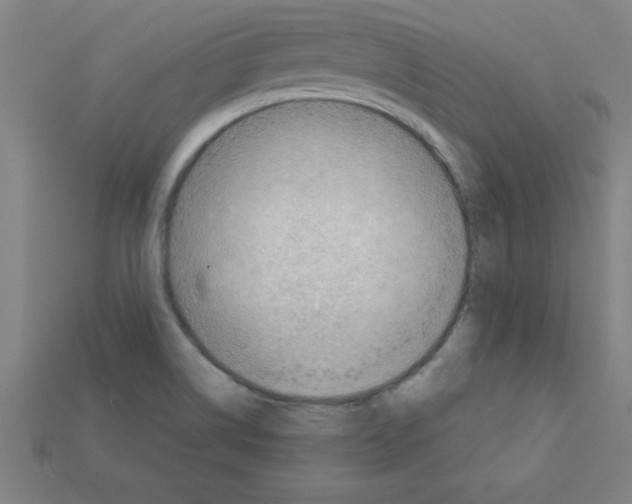 X0000111941514200909071249