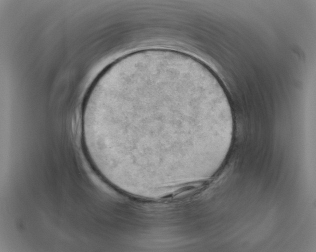 X0000111941515200909071249