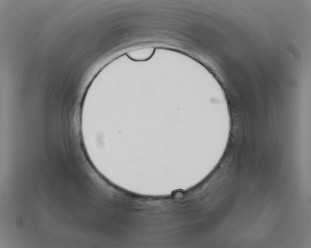 X0000111941516200909071249