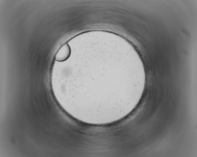 X0000111941517200909071249
