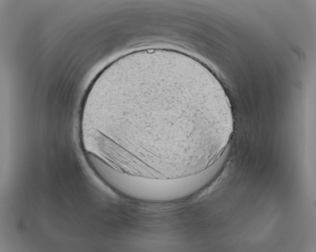 X0000111941518200909071249