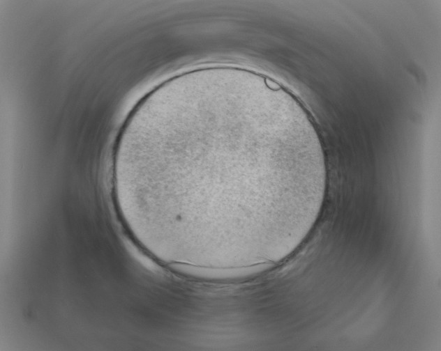 X0000111941519200909071249