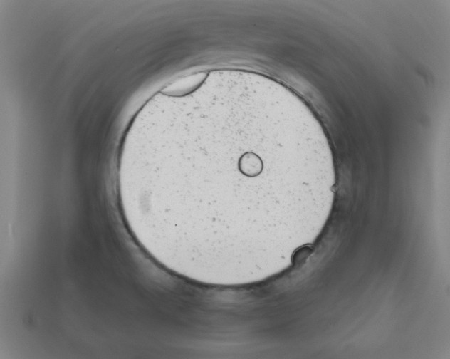 X0000111941520200909071249