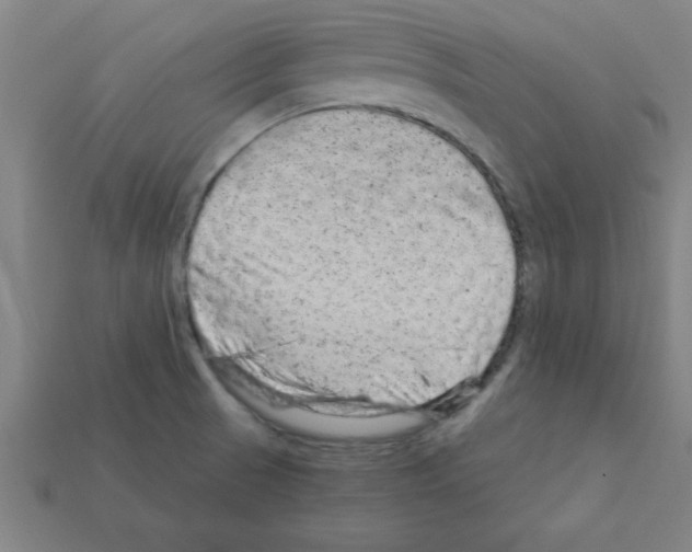 X0000111941521200909071249