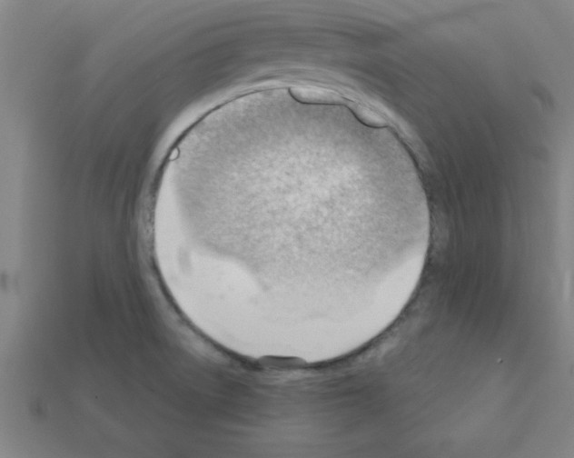 X0000111941522200909071249