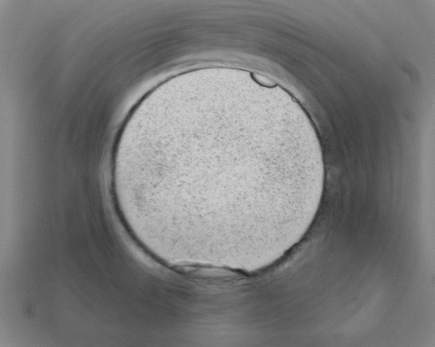 X0000111941523200909071249