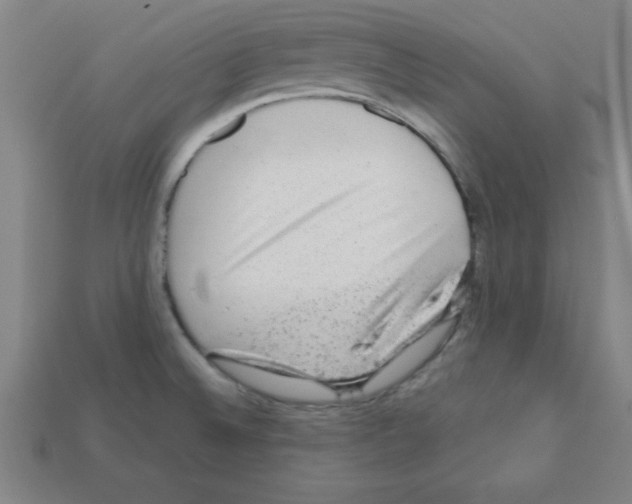 X0000111941524200909071249