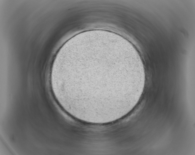 X0000111941525200909071249