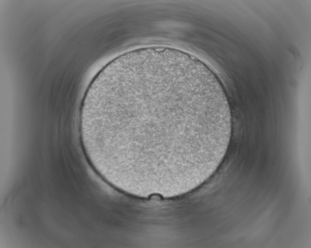 X0000111941527200909071249