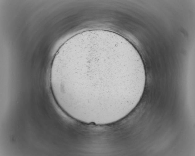 X0000111941528200909071249