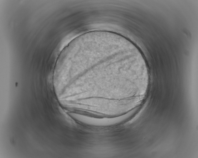 X0000111941529200909071249