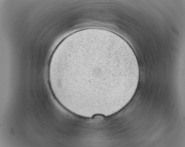 X0000111941531200909071249