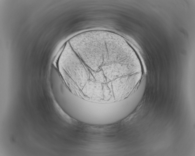 X0000111941532200909071249