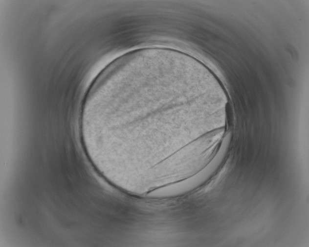 X0000111941533200909071249