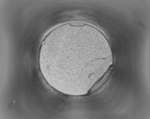 X0000111941534200909071249