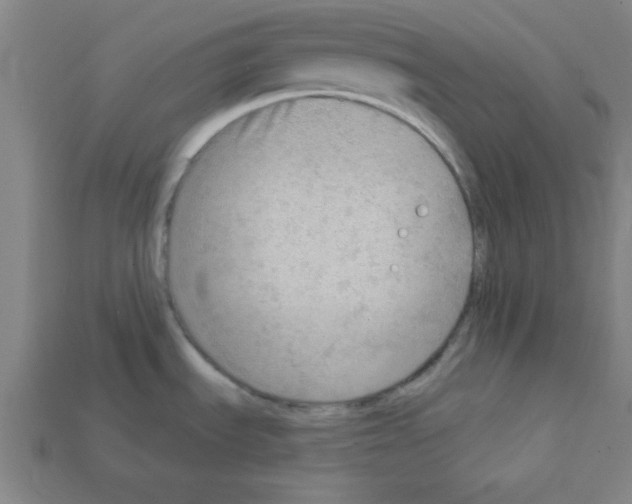 X0000111941535200909071249
