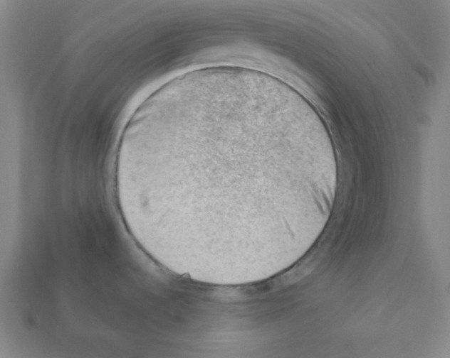 X0000111941536200909071249