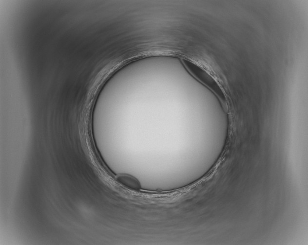 X0000111950001200907271044