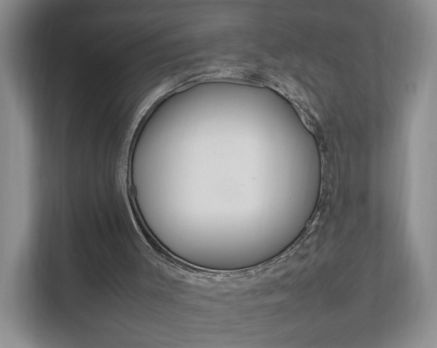 X0000111950003200907271044