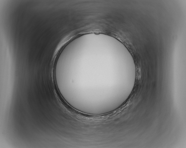 X0000111950004200907271044