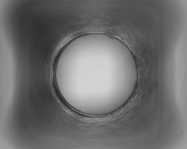 X0000111950005200907271044