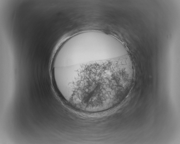 X0000111950006200907271044