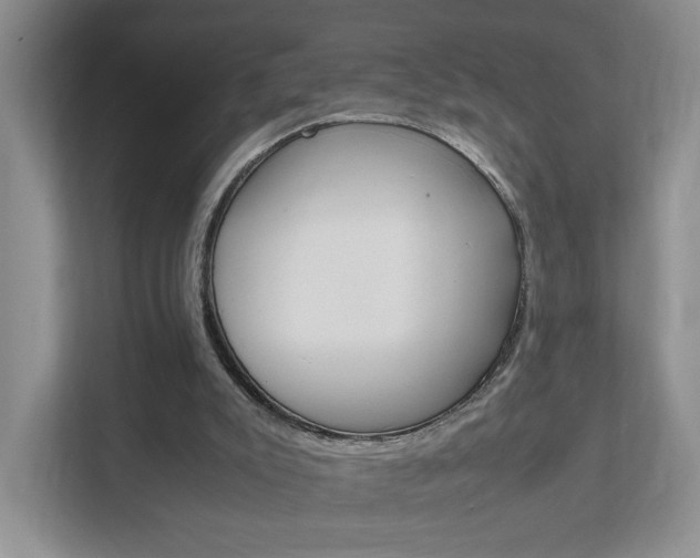 X0000111950007200907271044