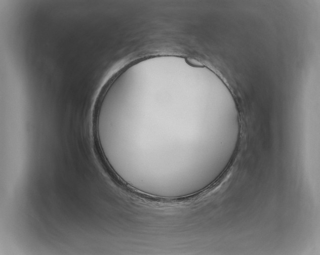 X0000111950008200907271044