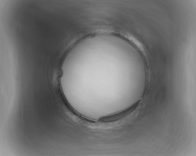 X0000111950009200907271044