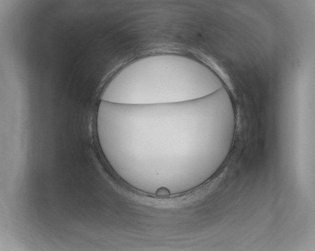 X0000111950010200907271044