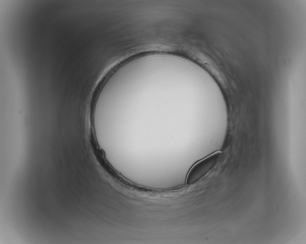 X0000111950011200907271044
