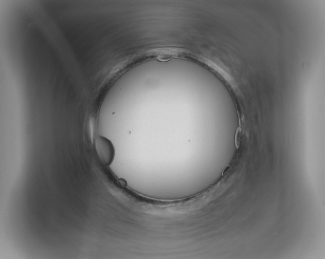 X0000111950013200907271044
