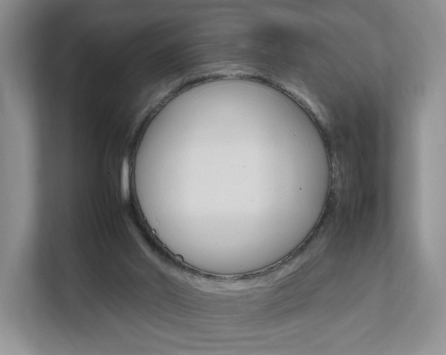 X0000111950014200907271044