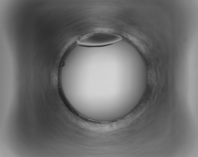 X0000111950015200907271044