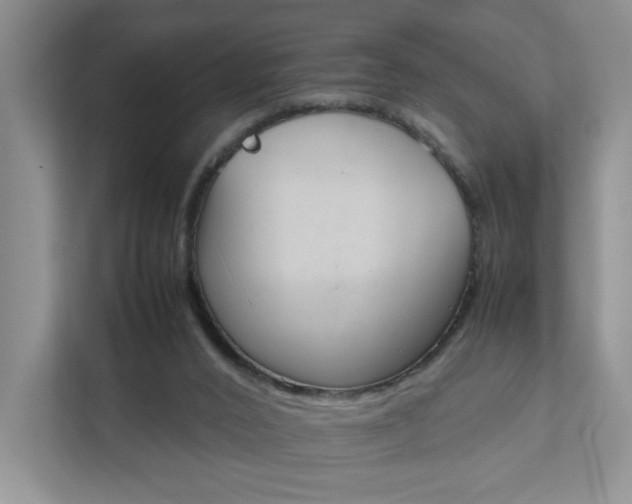 X0000111950016200907271044