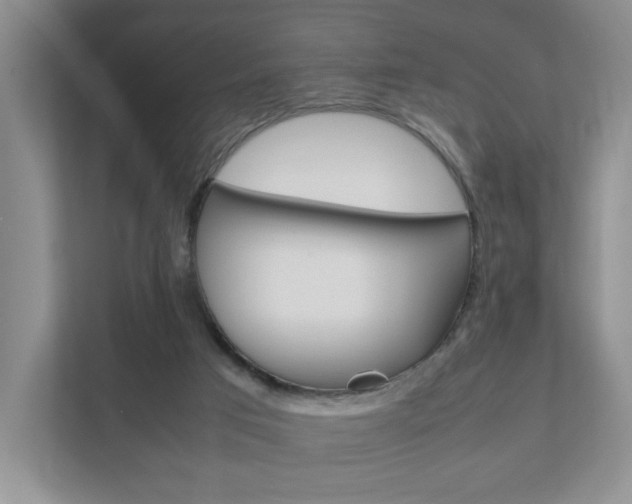X0000111950017200907271044