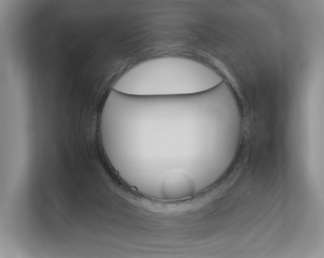 X0000111950018200907271044