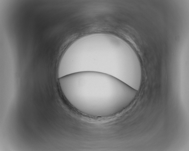 X0000111950019200907271044