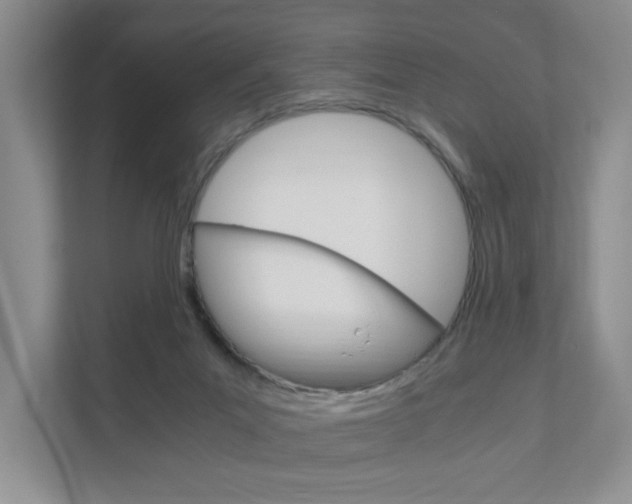 X0000111950023200907271044
