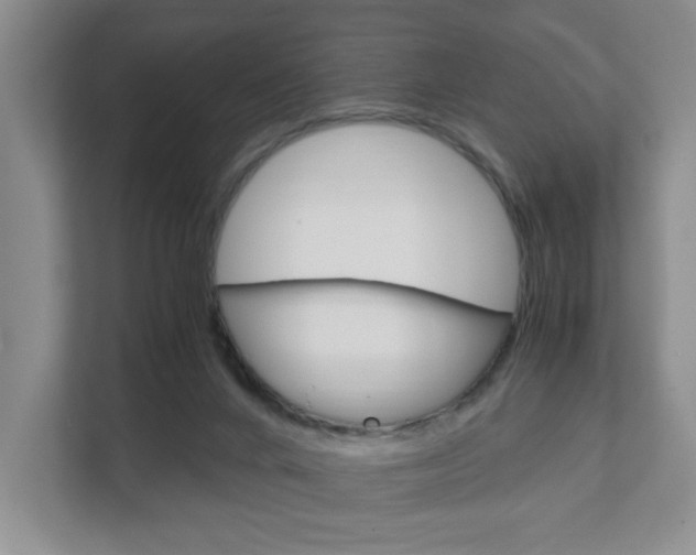 X0000111950024200907271044