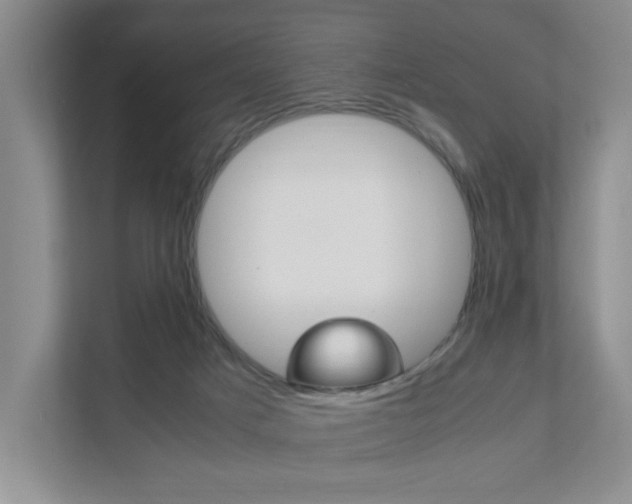 X0000111950025200907271044