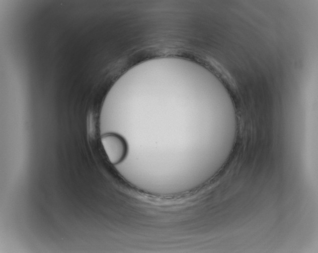 X0000111950026200907271044