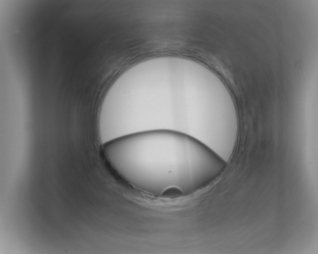 X0000111950027200907271044