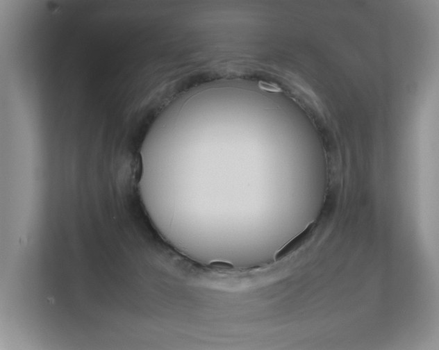 X0000111950029200907271044