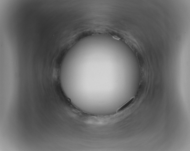 X0000111950033200907271044