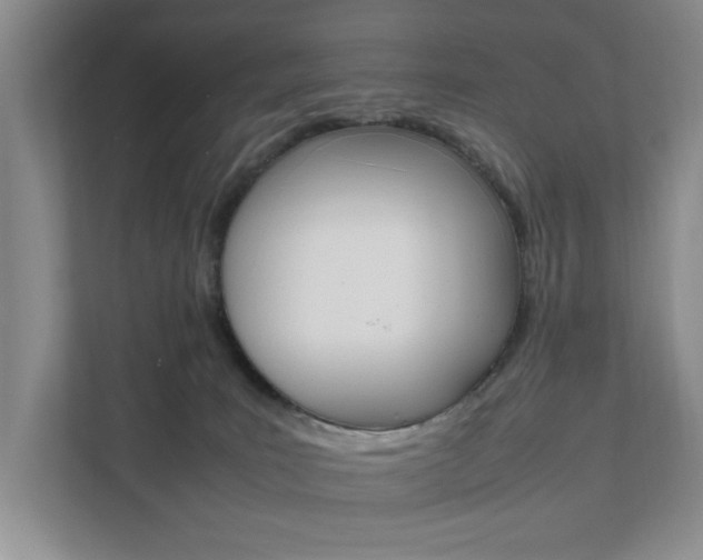 X0000111950035200907271044