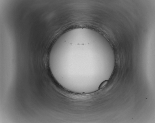 X0000111950036200907271044