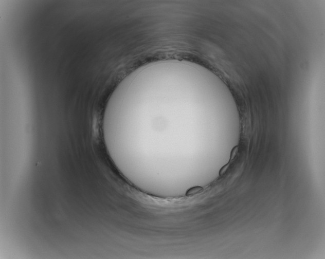 X0000111950038200907271044