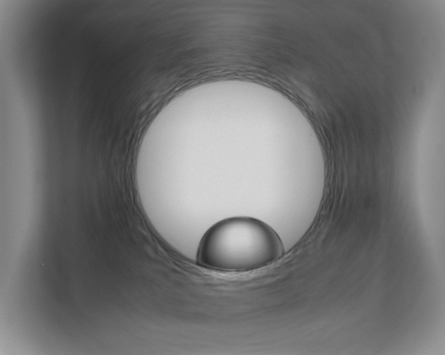 X0000111950039200907271044